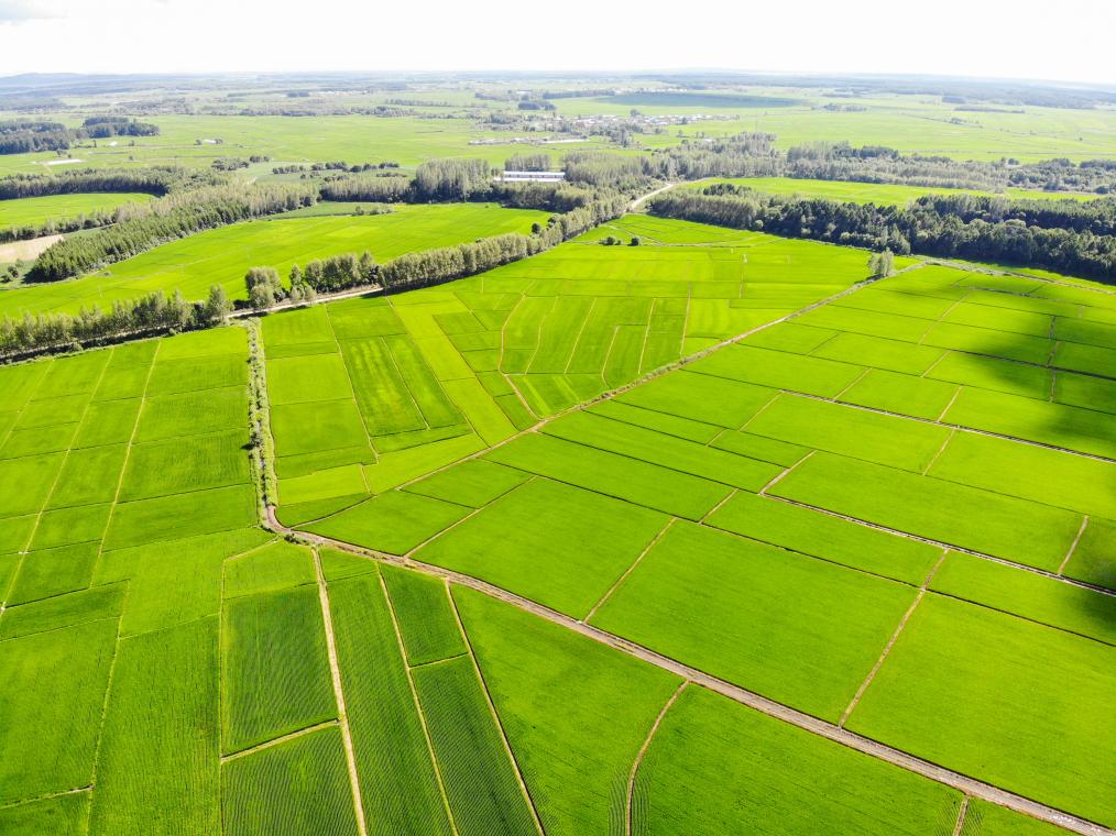 新時(shí)代新征程新偉業(yè)·習(xí)近平總書記關(guān)切事丨“北大倉(cāng)”:當(dāng)好國(guó)家糧食安全“壓艙石”