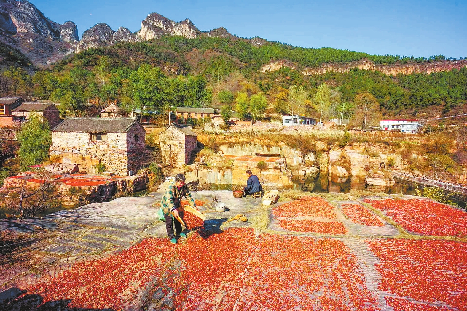 又見太行山里紅