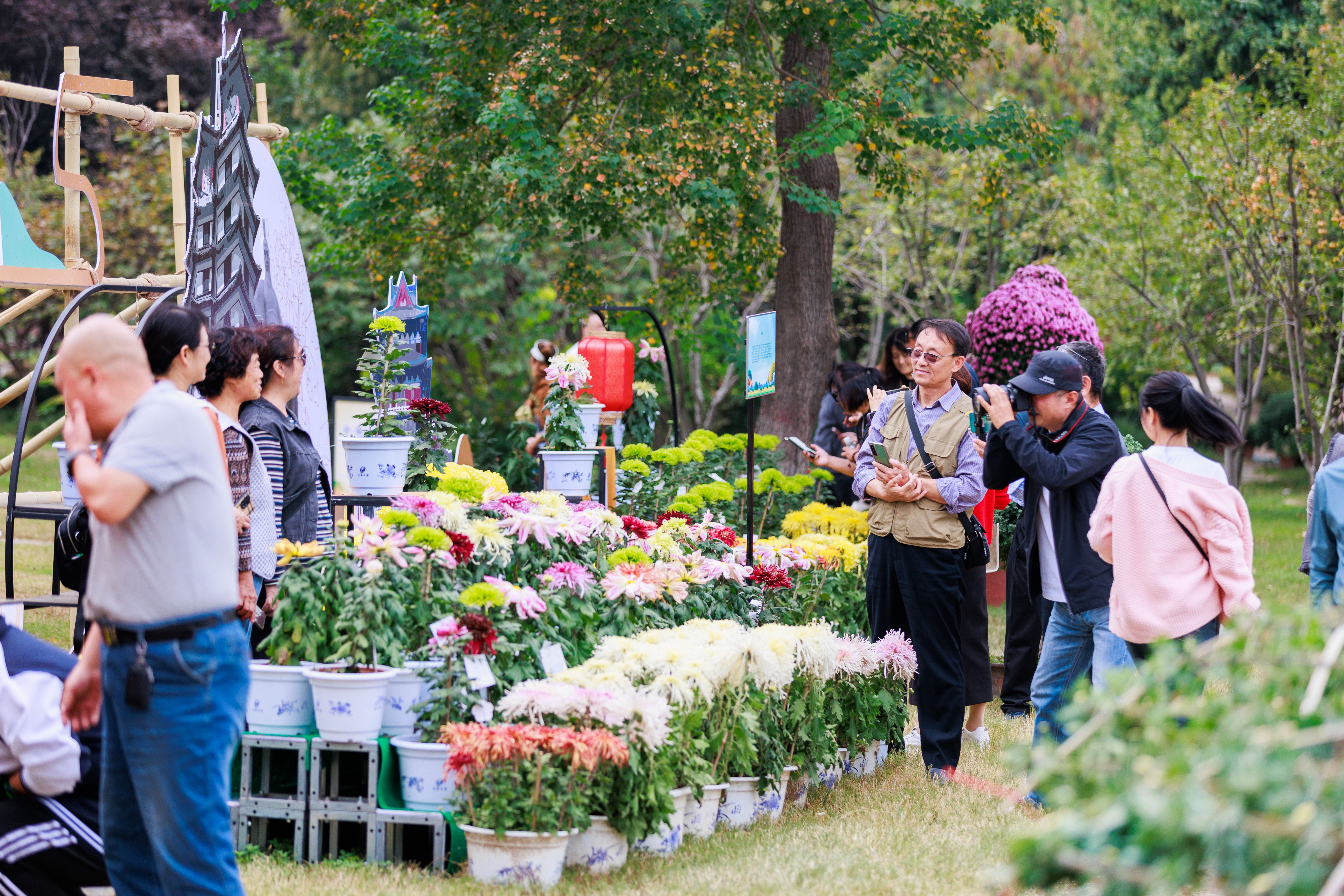鄉(xiāng)村行·看振興|河南開封：以菊為媒助力產(chǎn)業(yè)錦上添花