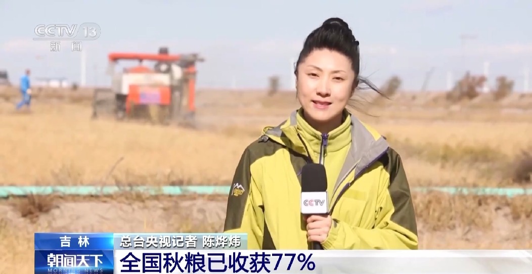 全國(guó)秋糧已收獲77% 冬小麥冬油菜播種有序推進(jìn)