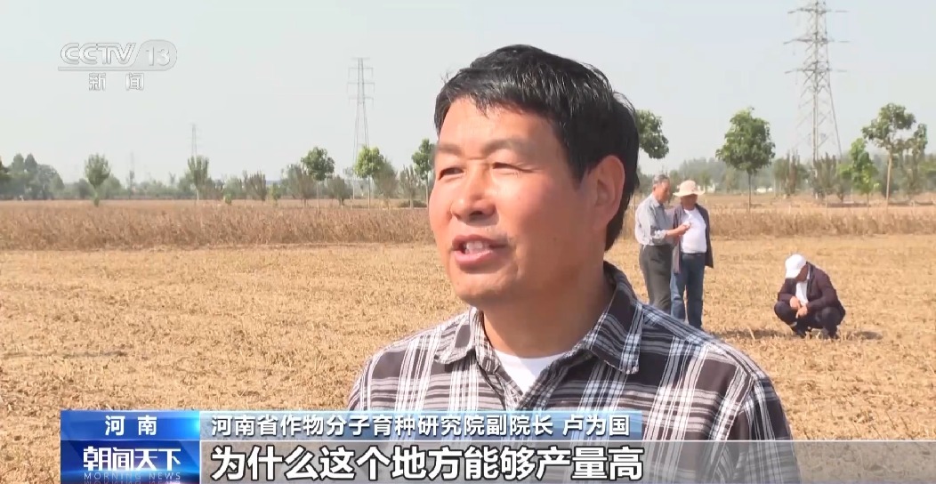 全國(guó)秋糧已收獲77% 冬小麥冬油菜播種有序推進(jìn)