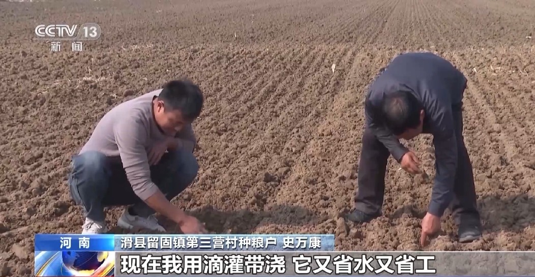 全國(guó)秋糧已收獲77% 冬小麥冬油菜播種有序推進(jìn)