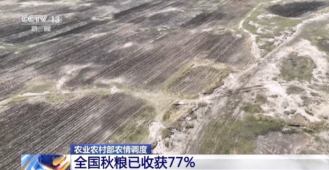全國(guó)秋糧已收獲77% 冬小麥冬油菜播種有序推進(jìn)