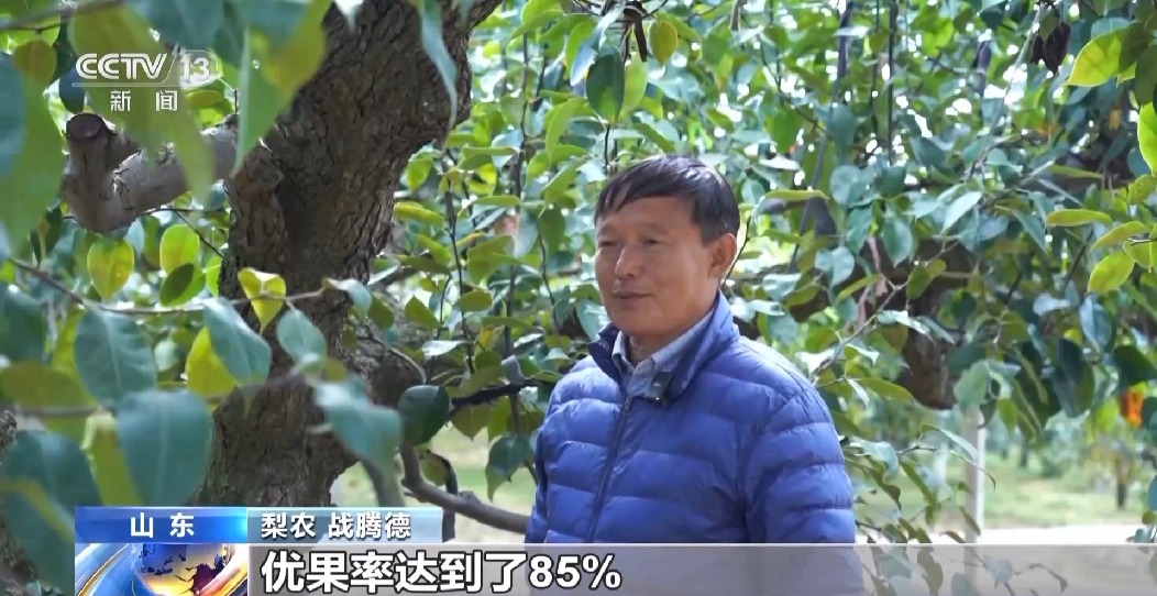 全國(guó)秋糧已收獲77% 冬小麥冬油菜播種有序推進(jìn)