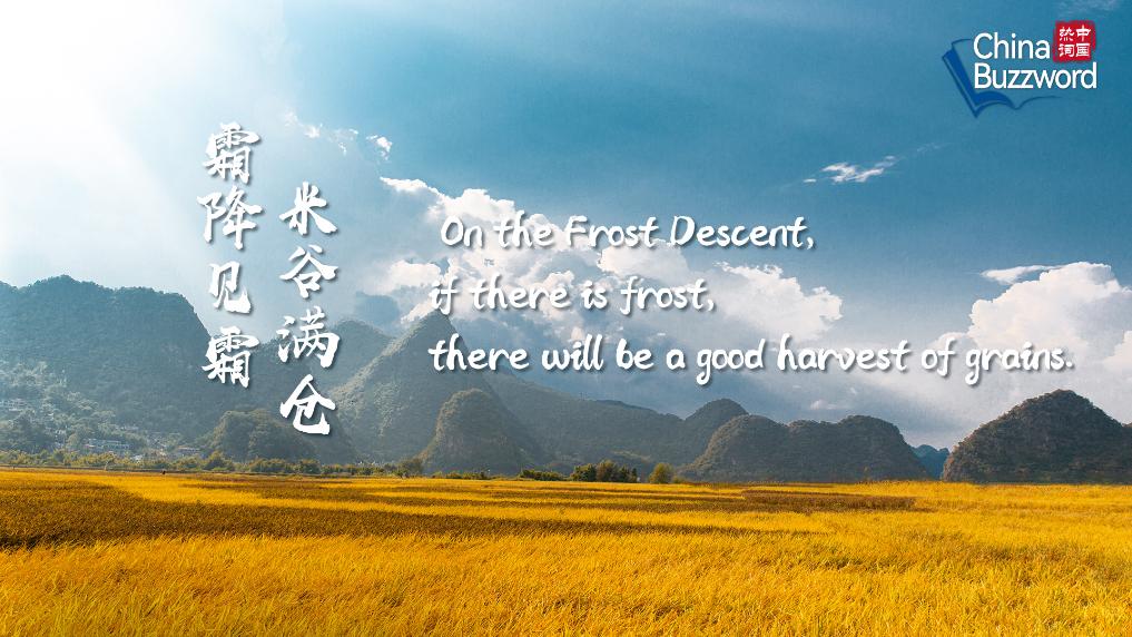 中國熱詞:霜降里的關照與溫暖