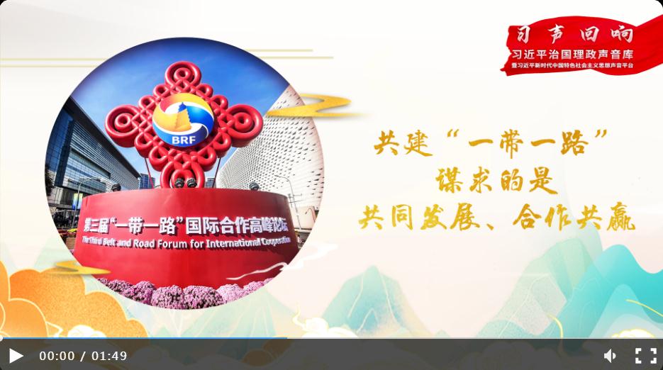 【大道共通】習(xí)聲回響丨共建“一帶一路”謀求的是共同發(fā)展、合作共贏