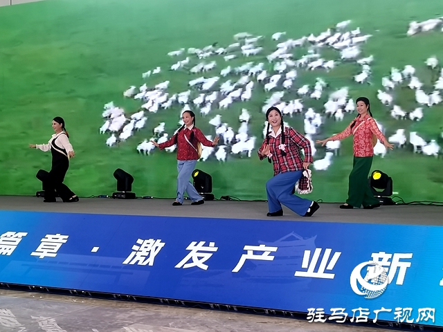 第二屆駐馬店文旅產(chǎn)業(yè)博覽會(huì)前夕開(kāi)展文藝演出活動(dòng)