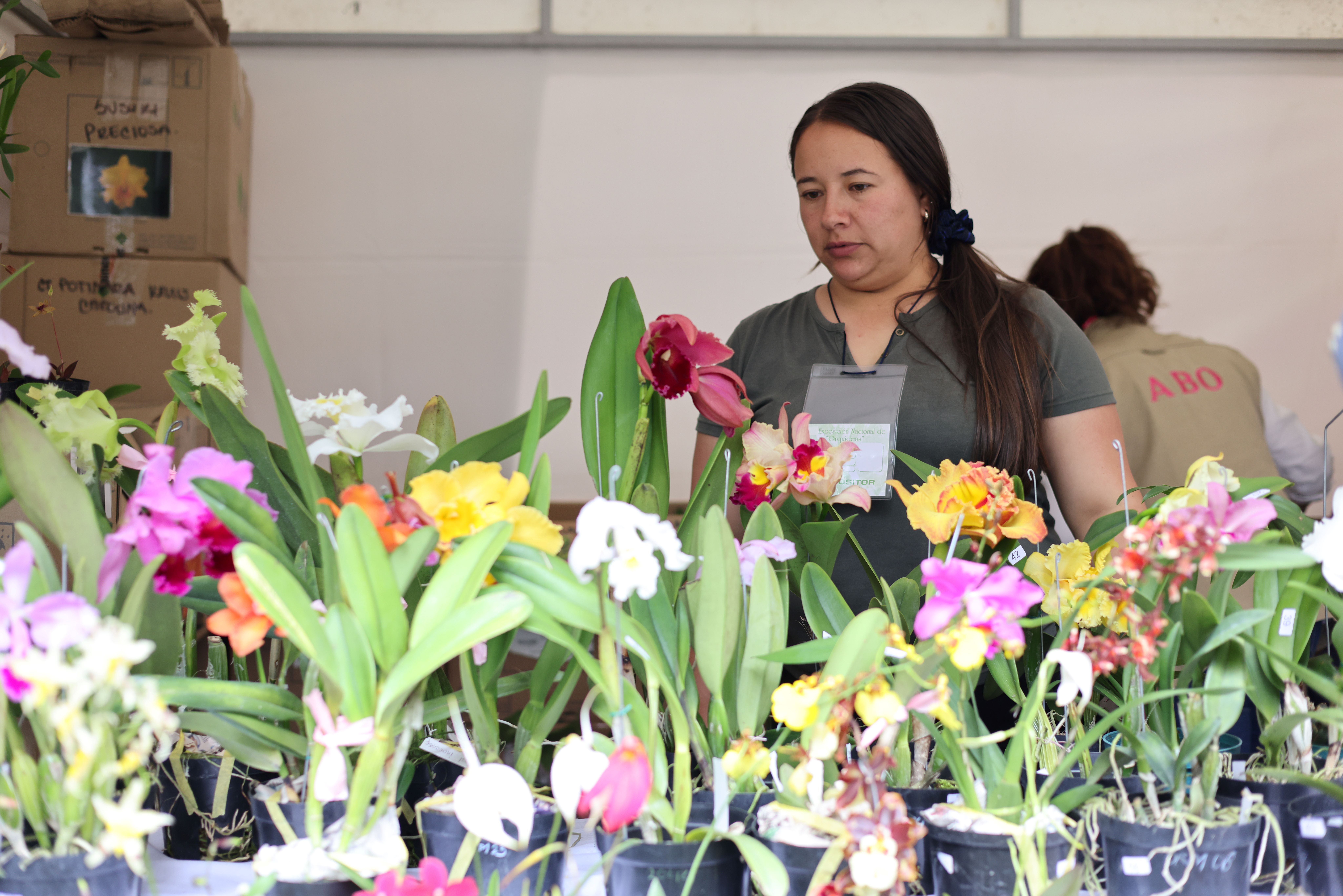 元首外交 | 擘畫新時(shí)代中哥關(guān)系藍(lán)圖