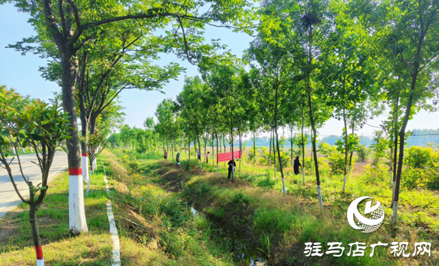 泌陽縣雙廟街鄉(xiāng)：推動(dòng)人居環(huán)境提檔升級 全力打造美麗鄉(xiāng)村