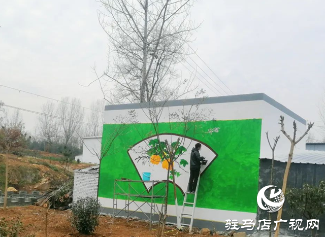 泌陽縣雙廟街鄉(xiāng)：推動(dòng)人居環(huán)境提檔升級 全力打造美麗鄉(xiāng)村
