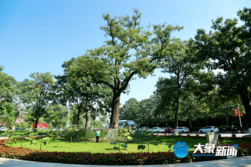 蘭考的“后浪”們，身上還是焦書記那股子“干勁”