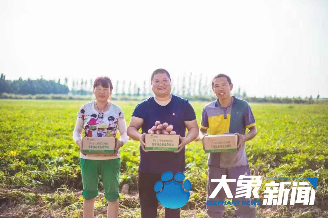 蘭考的“后浪”們，身上還是焦書記那股子“干勁”