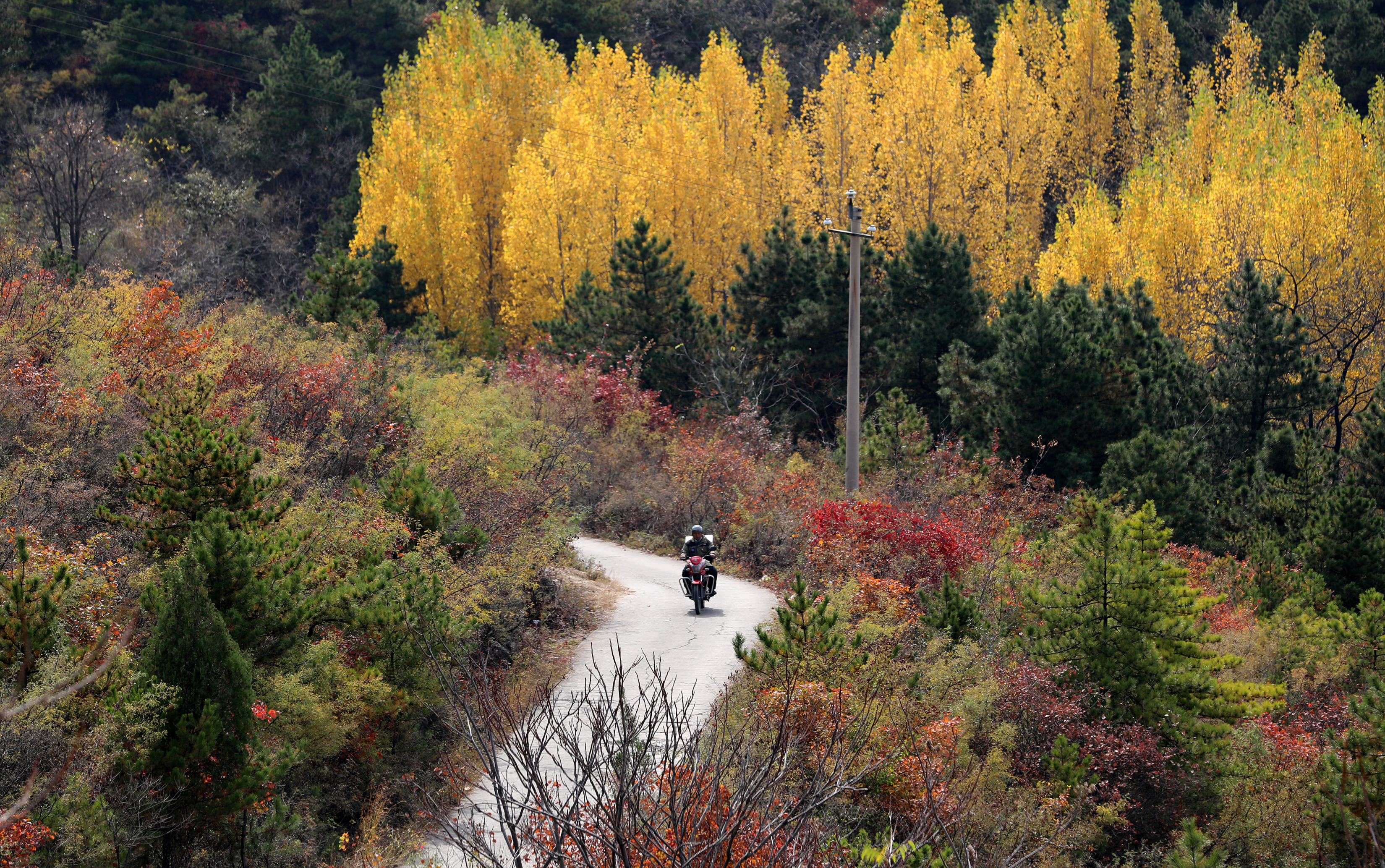 焦作博愛(ài)村醫(yī)王下放：守護(hù)鄉(xiāng)親45載的“深山120”