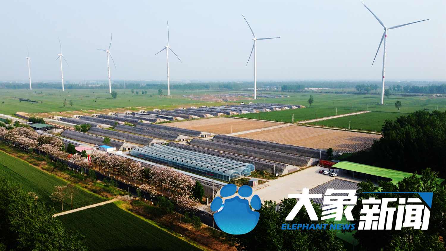 蘭考的“后浪”們，身上還是焦書記那股子“干勁”