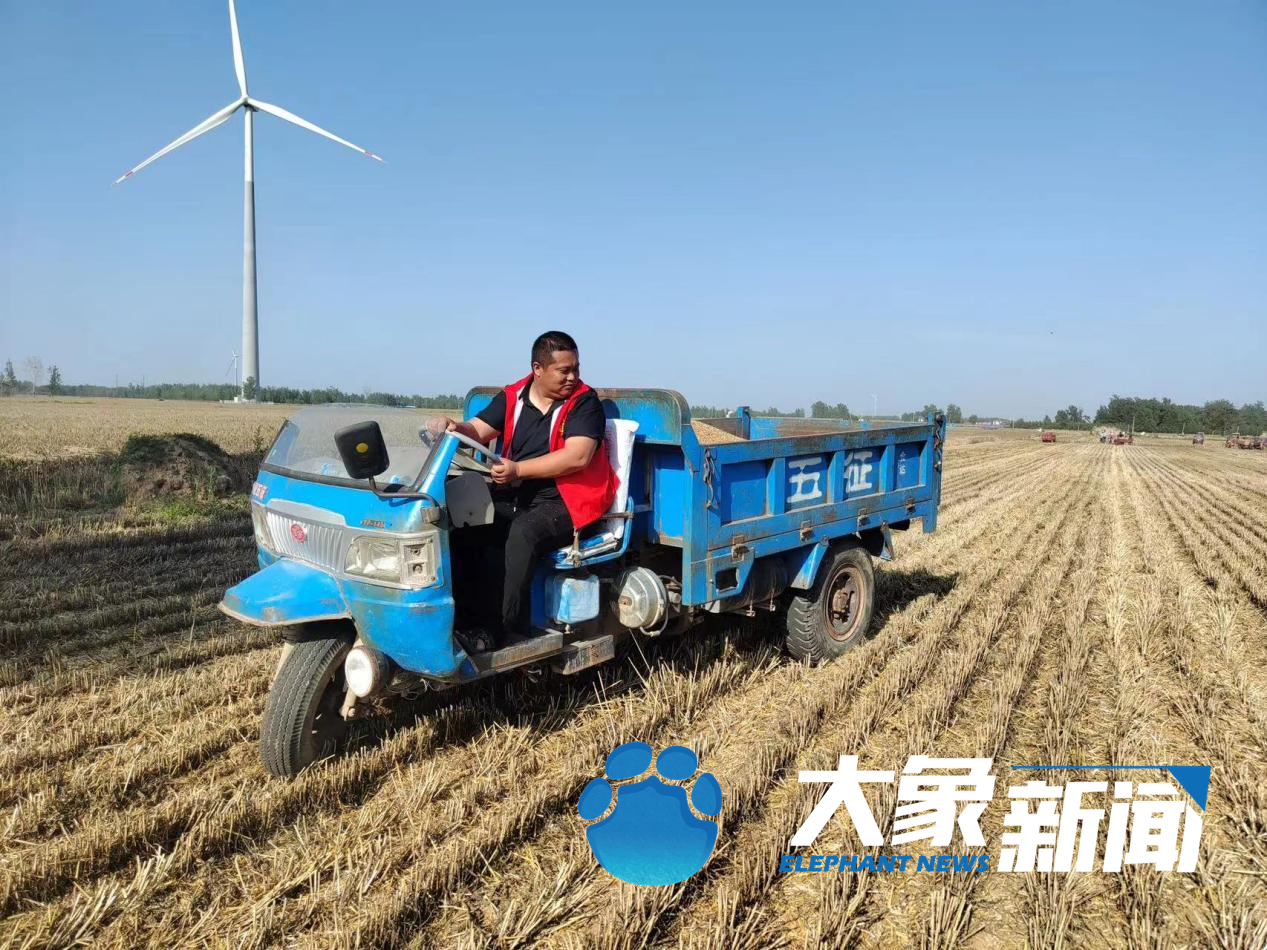 蘭考的“后浪”們，身上還是焦書記那股子“干勁”