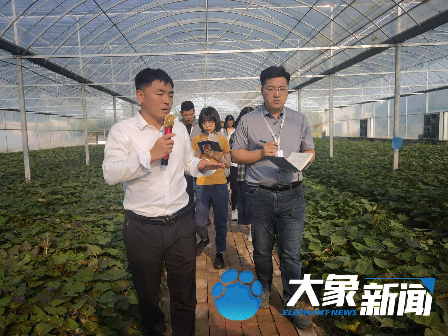 蘭考的“后浪”們，身上還是焦書記那股子“干勁”