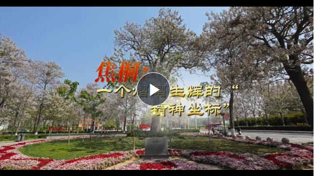 精神的力量丨焦桐，一個(gè)熠熠生輝的“精神坐標(biāo)”