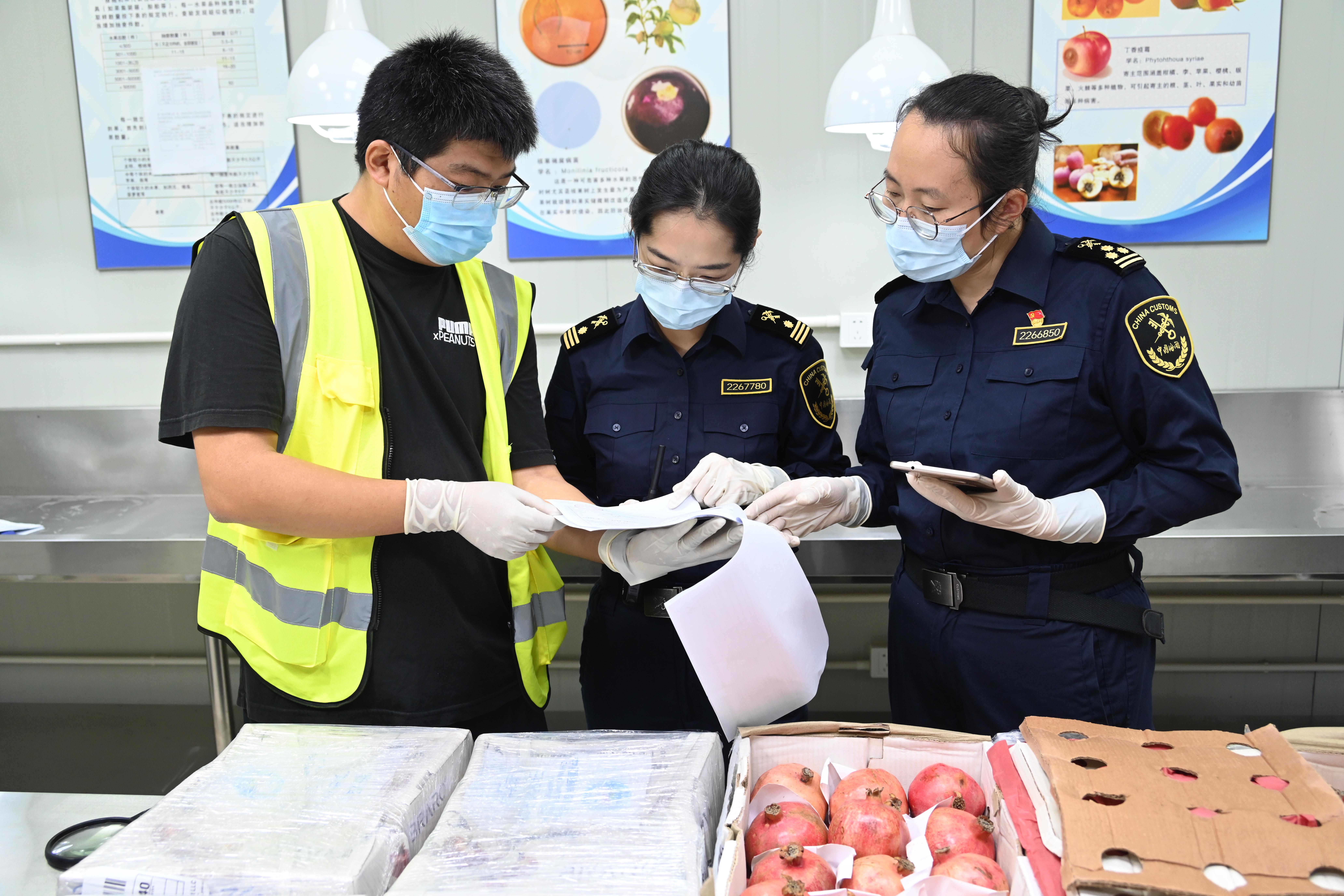 進博之約丨“四葉草”的開放協(xié)奏曲