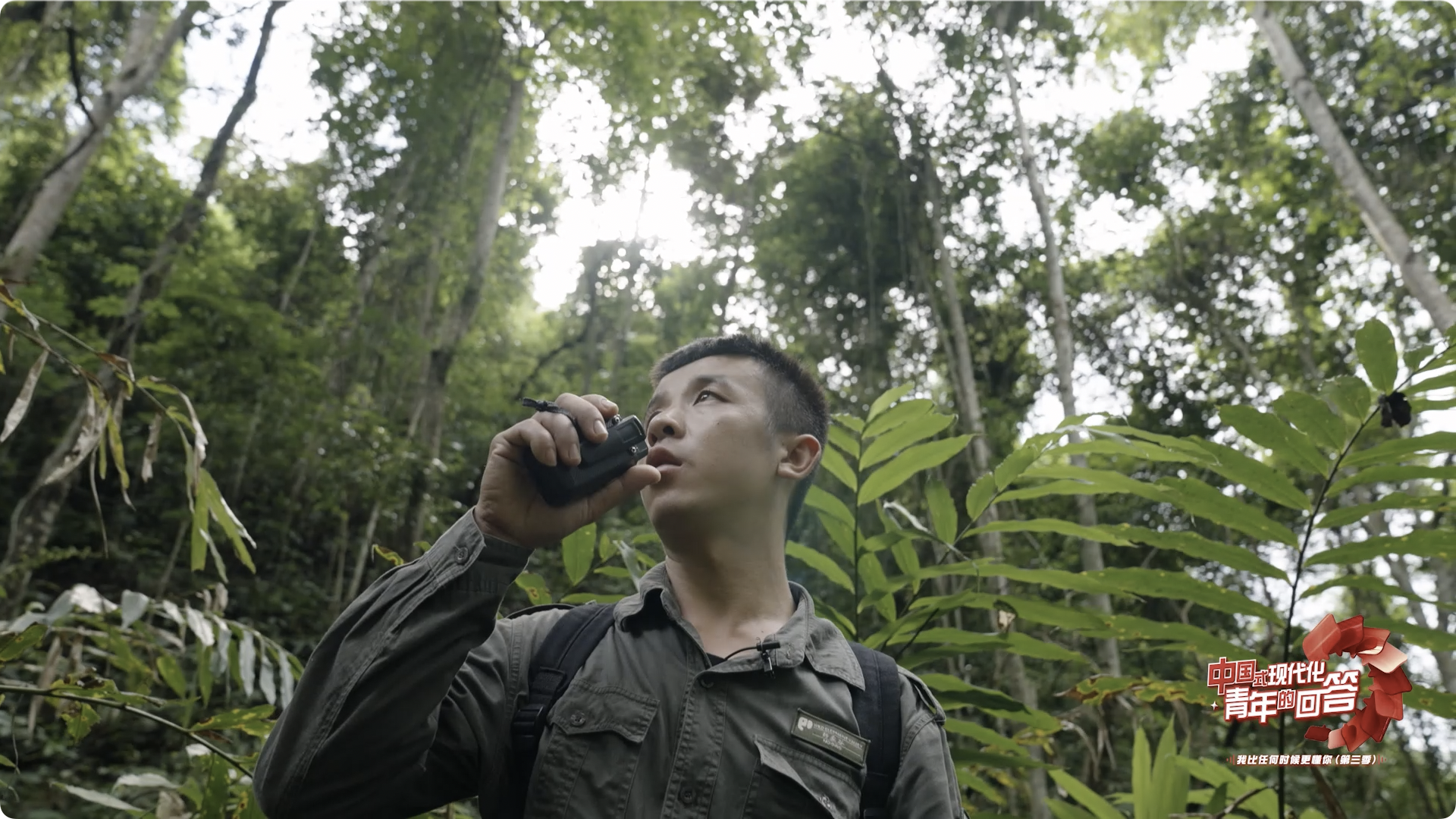 中國式現(xiàn)代化·青年的回答丨怎么“秒懂”熱帶雨林里的亞洲象？