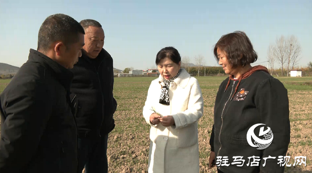 驛城區(qū)農(nóng)業(yè)農(nóng)村局下基層為農(nóng)民心貼心服務(wù) 面對(duì)面解難