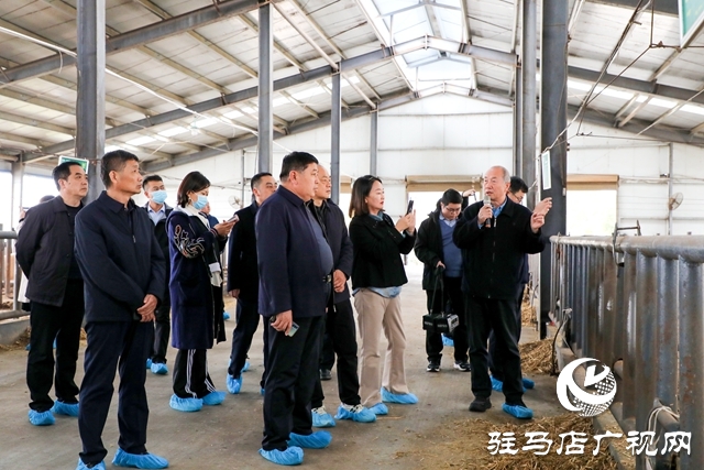 吉日嘎拉圖到泌陽縣調研食用菌和夏南牛產(chǎn)業(yè)