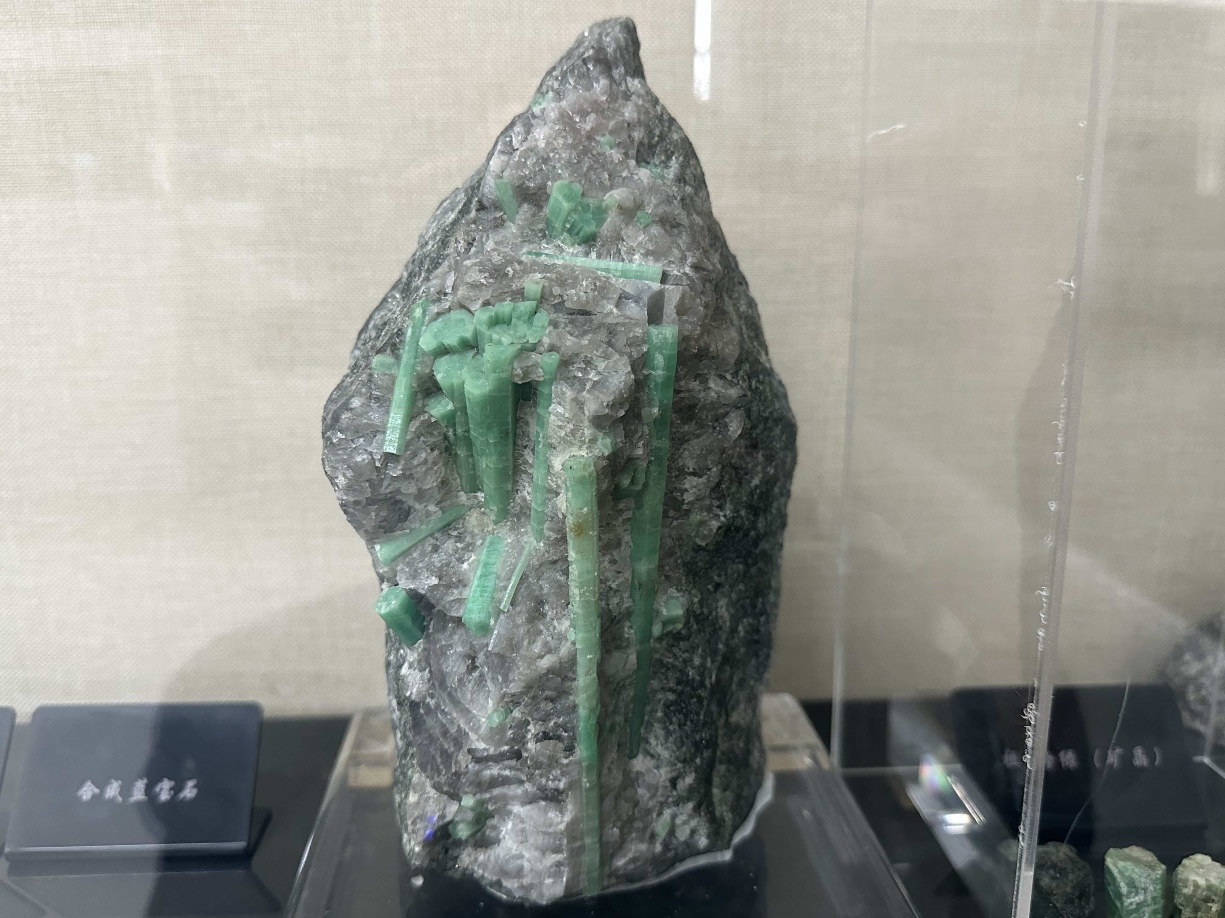 大學(xué)里的寶藏博物館?丨來一場“石”光之旅，探尋地球的記憶