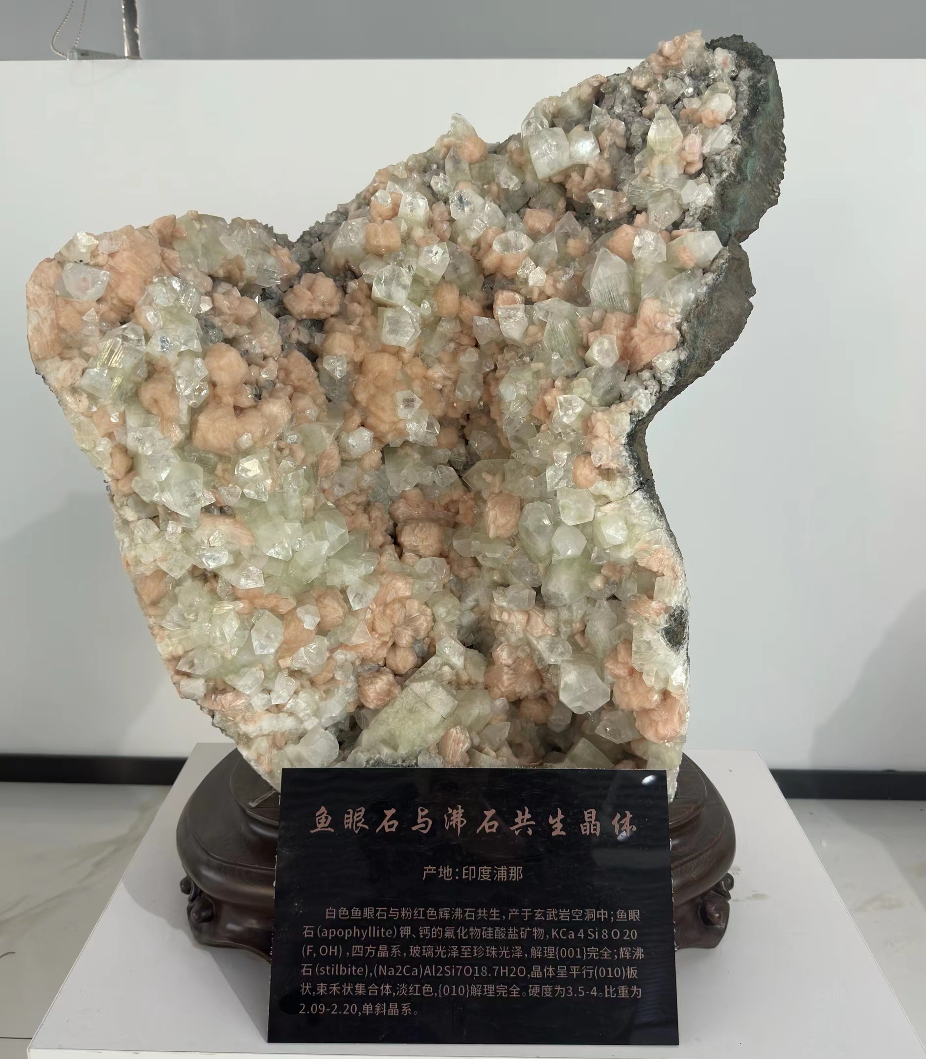 大學(xué)里的寶藏博物館?丨來一場“石”光之旅，探尋地球的記憶