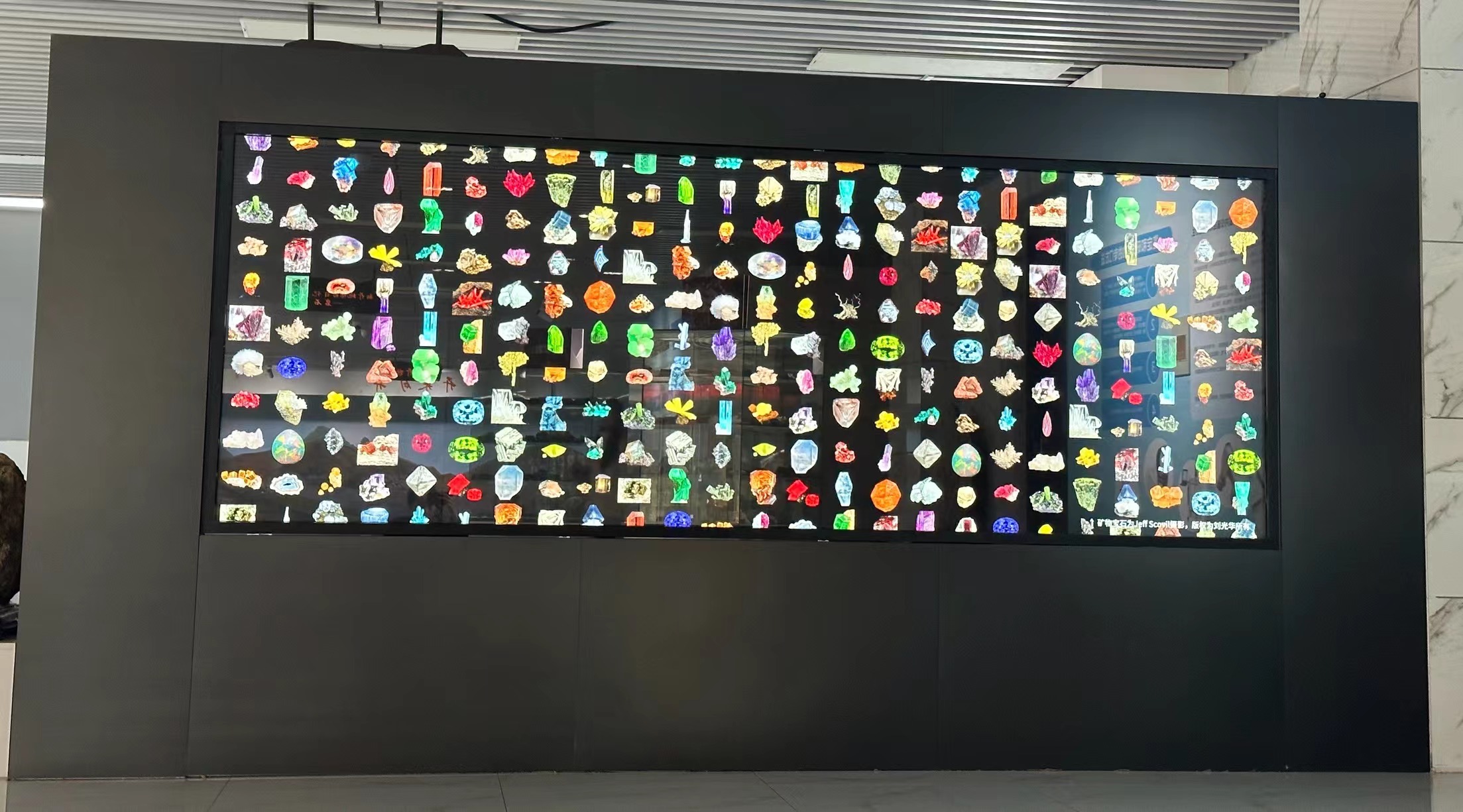 大學(xué)里的寶藏博物館?丨來一場“石”光之旅，探尋地球的記憶