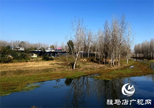 泌陽縣郭集鎮(zhèn):全面落實(shí)河長制工作