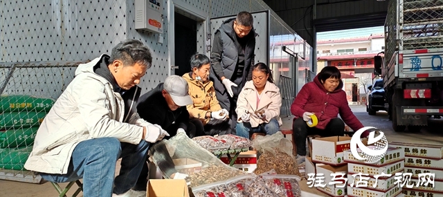 平輿縣萬冢鎮(zhèn)牛莊村：小螞蚱“蹦”出致富路助村民飛“蝗”騰達