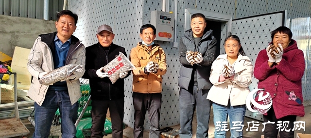 平輿縣萬冢鎮(zhèn)牛莊村：小螞蚱“蹦”出致富路助村民飛“蝗”騰達