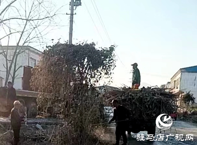 泌陽縣象河鄉(xiāng)：整治人居環(huán)境，助力鄉(xiāng)村振興