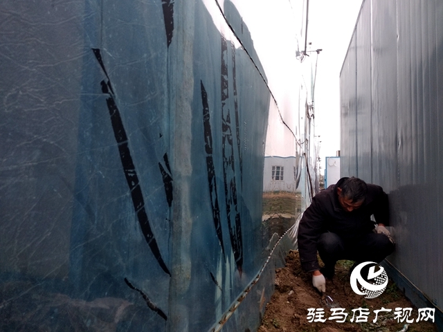 正陽(yáng)縣：大棚冬日暖 時(shí)蔬長(zhǎng)勢(shì)好