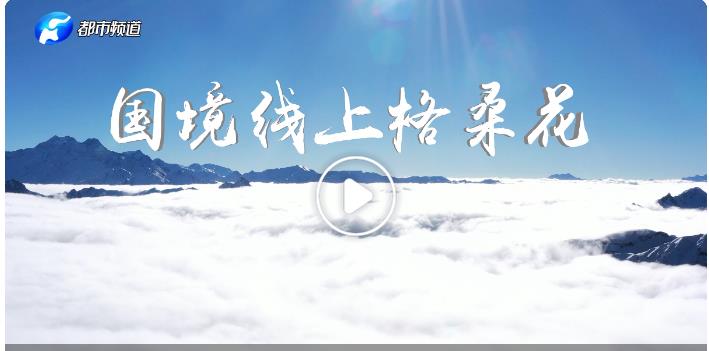 總書(shū)記的回信第二季|國(guó)境線上格?；? width=