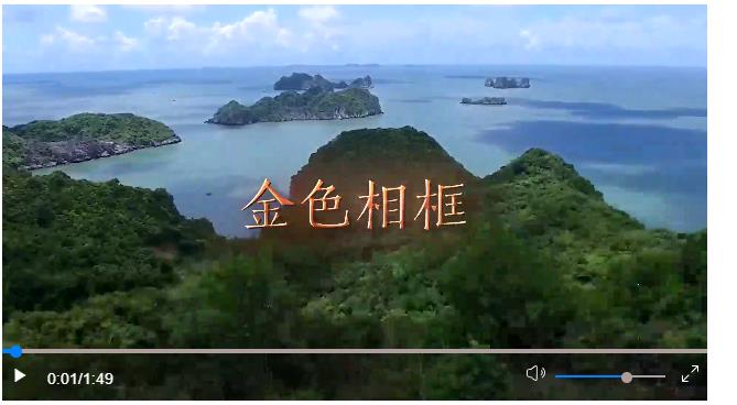 攜手奔赴中越命運(yùn)共同體的美好明天——中共中央總書(shū)記、國(guó)家主席習(xí)近平越南之行紀(jì)實(shí)