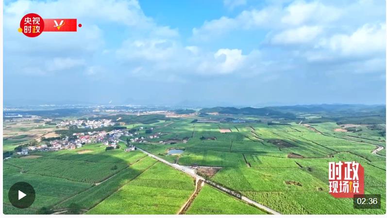 時(shí)政現(xiàn)場(chǎng)說(shuō)丨把“糖罐子”越端越穩(wěn) 讓“甜蜜產(chǎn)業(yè)”更加甜蜜