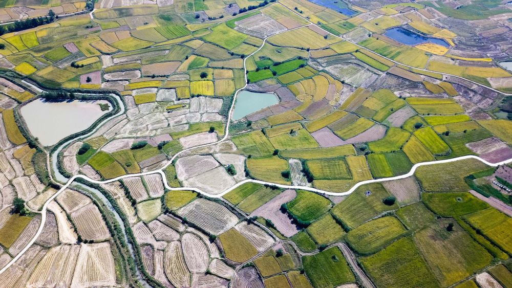 強(qiáng)國建設(shè)、民族復(fù)興的必由之路——以習(xí)近平同志為核心的黨中央引領(lǐng)新時(shí)代改革開放紀(jì)實(shí)