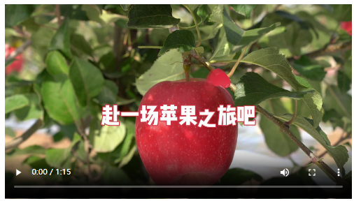 鄉(xiāng)村行·看振興 再向三山行·伏牛山采風(fēng)⑥丨旋“蘋(píng)果”