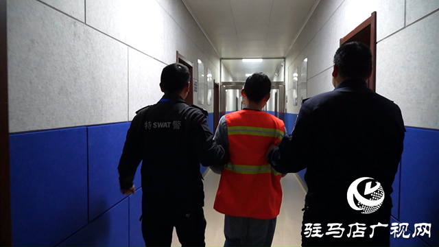 民警郭明鷺:抓賊一路“狂飆”的刑偵尖兵