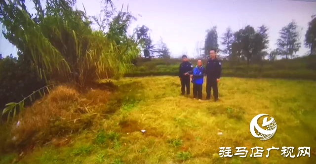 民警郭明鷺:抓賊一路“狂飆”的刑偵尖兵