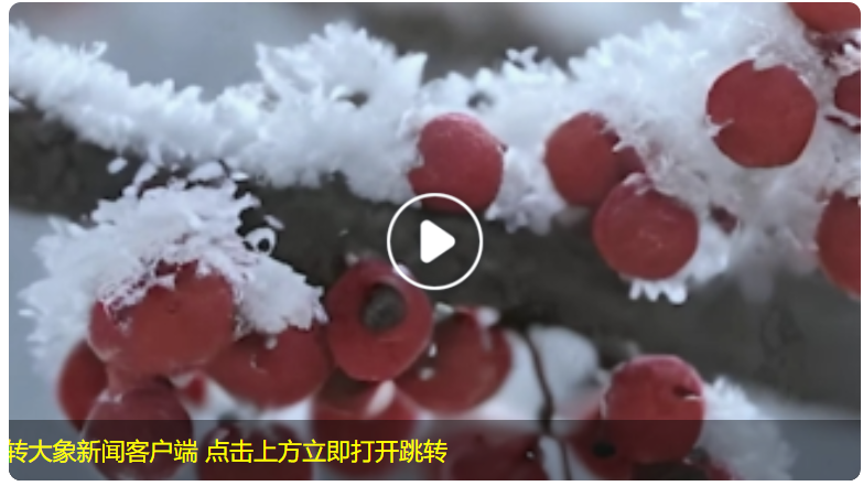 太美了！《中國節(jié)氣-冬至》動(dòng)畫還原酷似”千紙鶴“的冰花