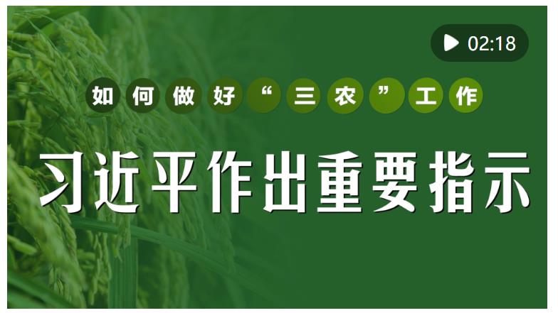 微視頻｜如何做好“三農(nóng)”工作？習(xí)近平作出重要指示