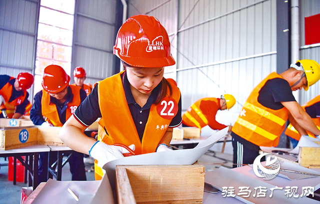 平輿縣擦亮&ldquo;平輿防水&rdquo;品牌壯大富民強(qiáng)縣產(chǎn)業(yè)