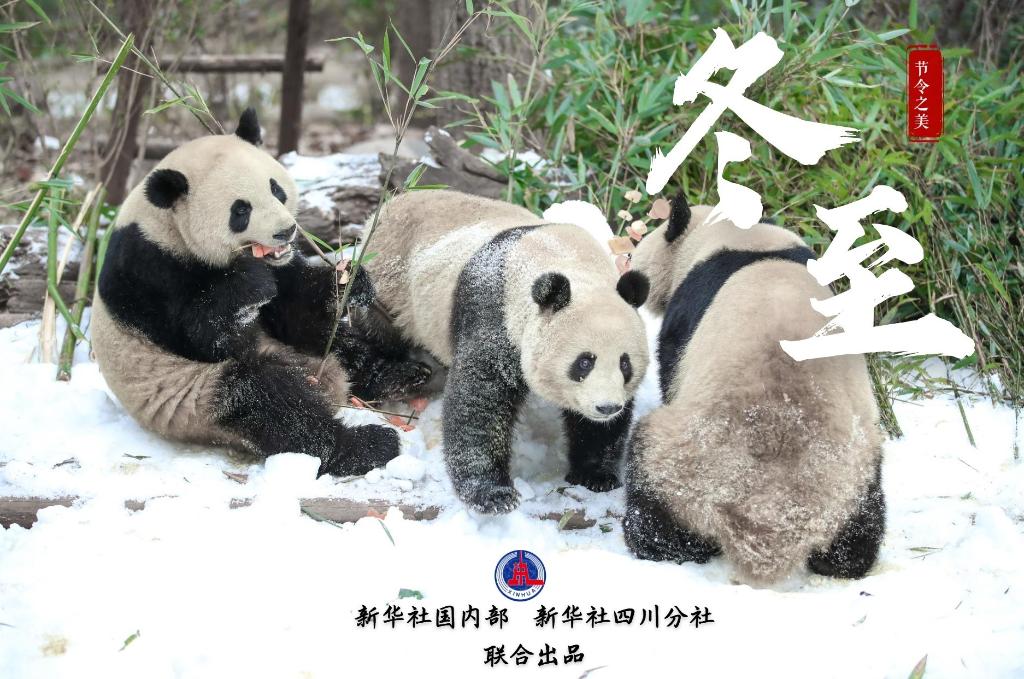 節(jié)令之美·冬至丨冬至，如約而至