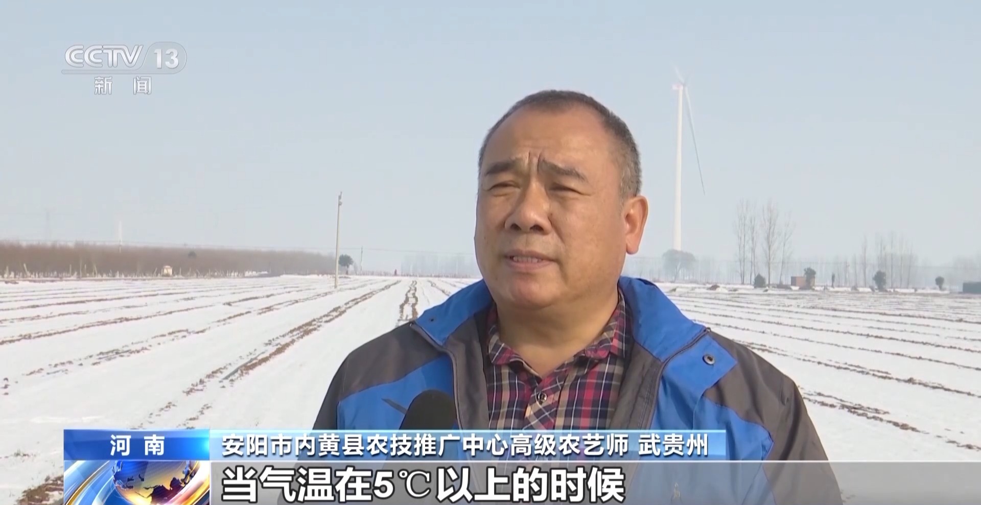 降雪降溫天氣小麥如何安全越冬？辦法來了
