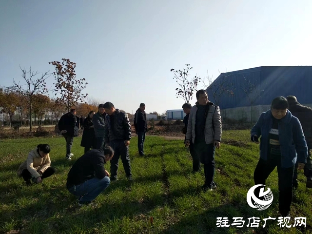 正陽縣：農(nóng)技服務(wù)下鄉(xiāng) 助農(nóng)增產(chǎn)增收