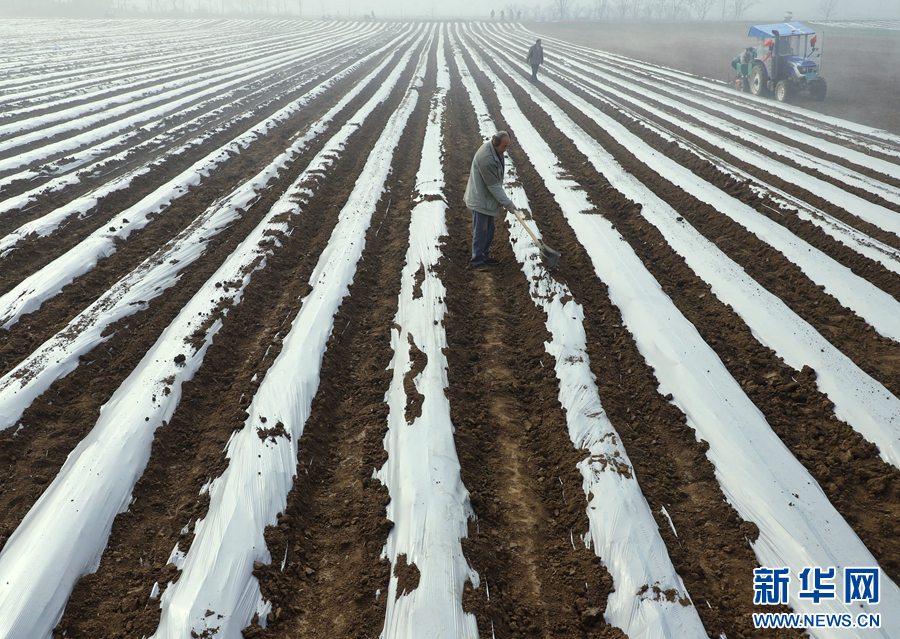 河南南陽:小寒至 農事忙
