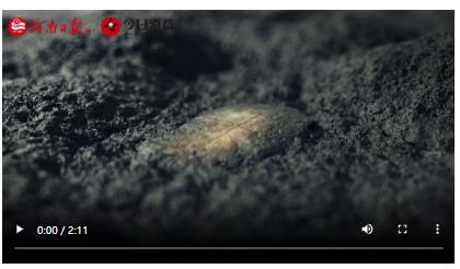 了不起的甲骨文｜劉永革：數(shù)字技術(shù)賦能甲骨文保護傳承