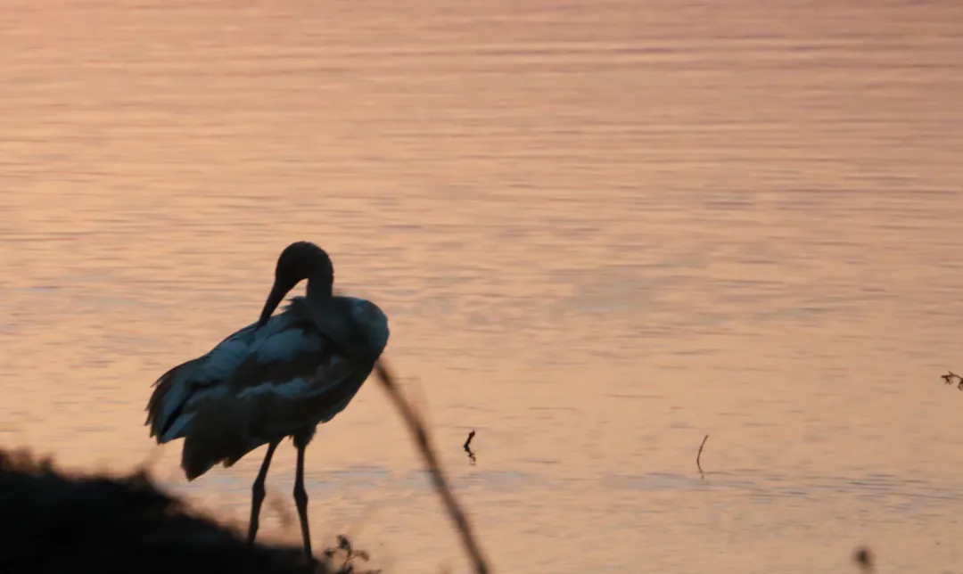 高鐵新線開通，去看人間仙境！