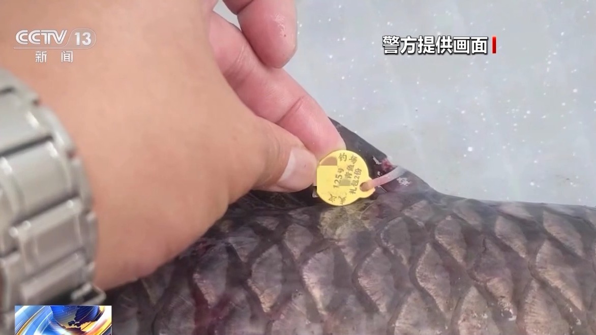 一條魚價(jià)值60萬元？釣魚場(chǎng)變“賭場(chǎng)” 警方抓獲86人